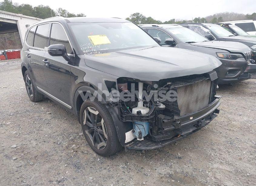 2024 Kia Telluride EX (VIN 5XYP34GC6RG445587) main photo