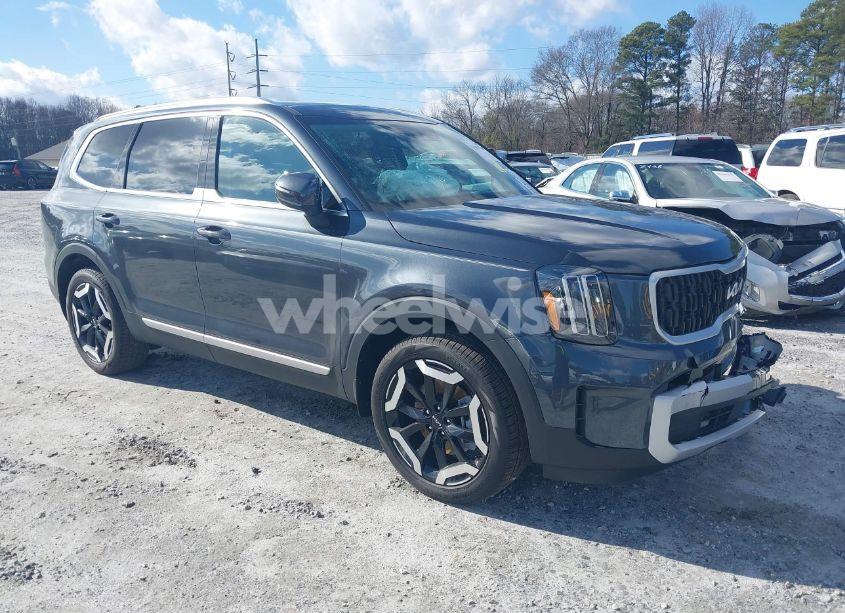 2024 Kia Telluride EX (VIN 5XYP34GC7RG519633) main photo