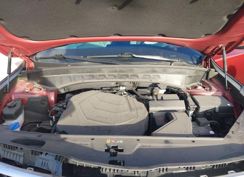 Photo 10 of 2023 Kia Telluride EX (VIN 5XYP34GC9PG333881)