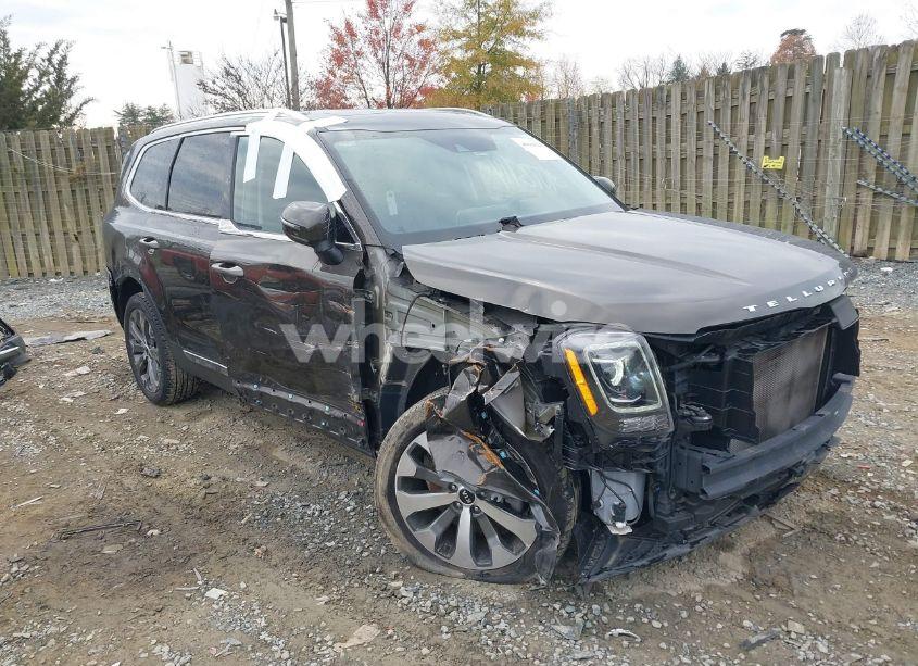 2020 Kia Telluride EX (VIN 5XYP34HC0LG071192) main photo