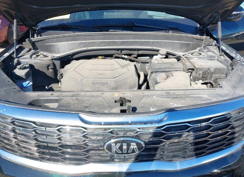 Photo 10 of 2021 Kia Telluride EX (VIN 5XYP34HC0MG162352)