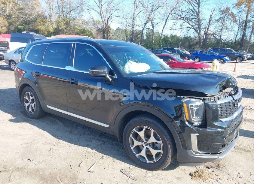 2022 Kia Telluride EX (VIN 5XYP34HC0NG210529) main photo