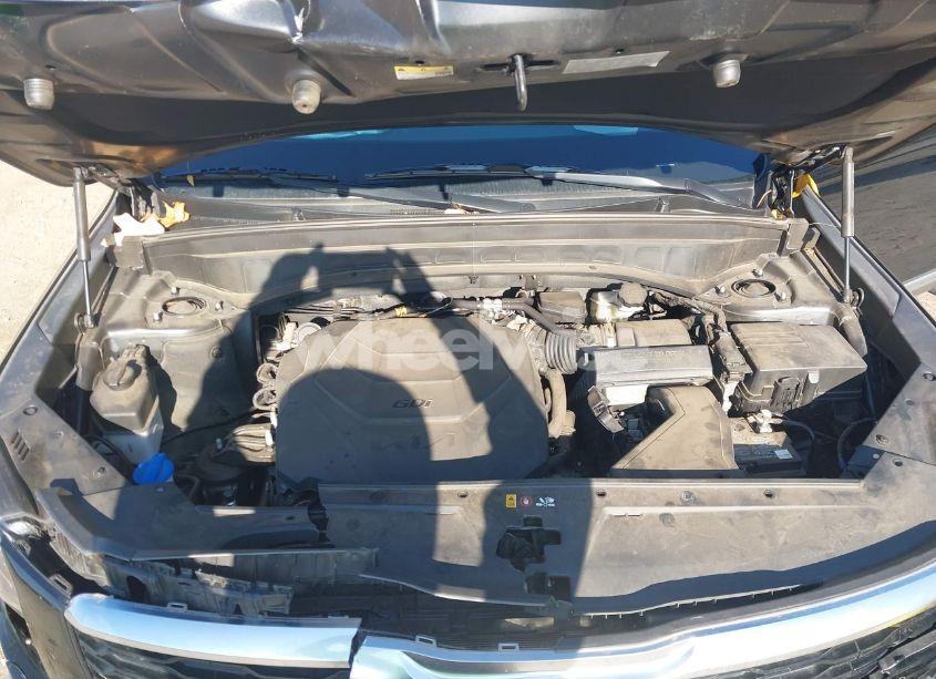 Photo 10 of 2022 Kia Telluride EX (VIN 5XYP34HC0NG210529)