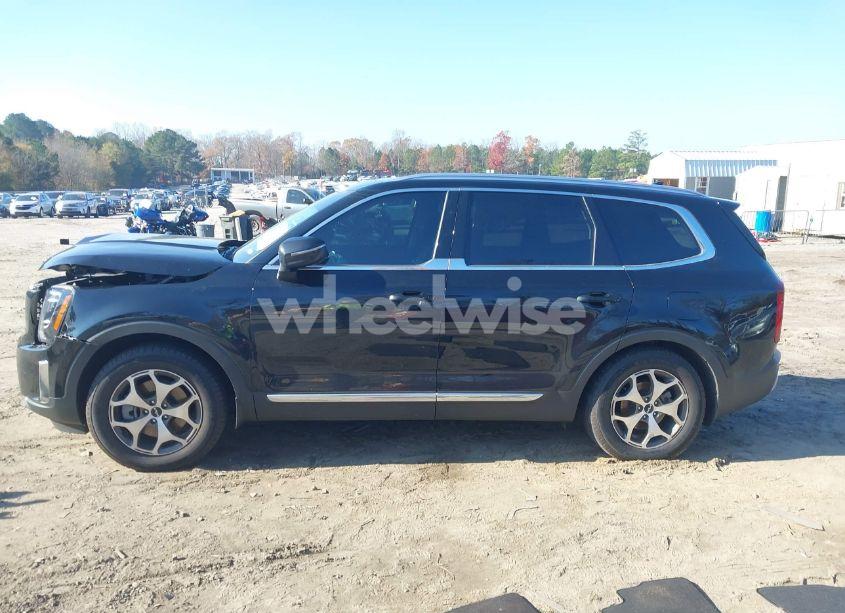 Photo 14 of 2022 Kia Telluride EX (VIN 5XYP34HC0NG210529)