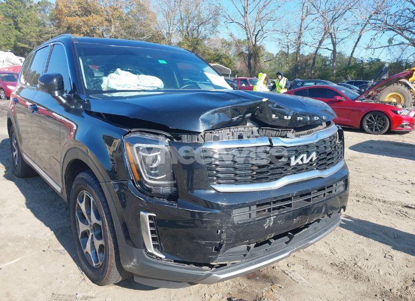 Photo 6 of 2022 Kia Telluride EX (VIN 5XYP34HC0NG210529)
