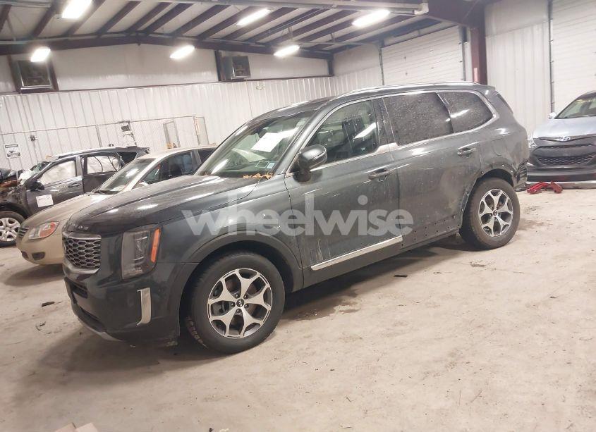 Photo 2 of 2021 Kia Telluride EX (VIN 5XYP34HC3MG150535)