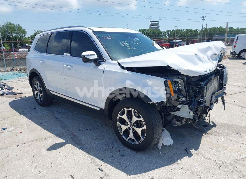 2022 Kia Telluride EX (VIN 5XYP34HC4NG319365) main photo