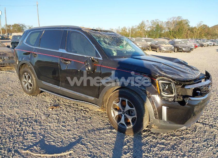 2021 Kia Telluride EX (VIN 5XYP34HC5MG114832) main photo