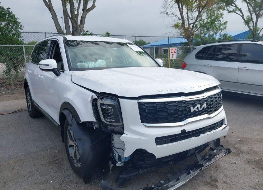 2022 Kia Telluride EX (VIN 5XYP34HC5NG253201) main photo