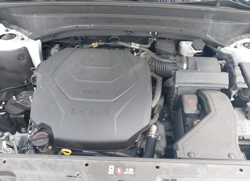 Photo 10 of 2022 Kia Telluride EX (VIN 5XYP34HC5NG253201)