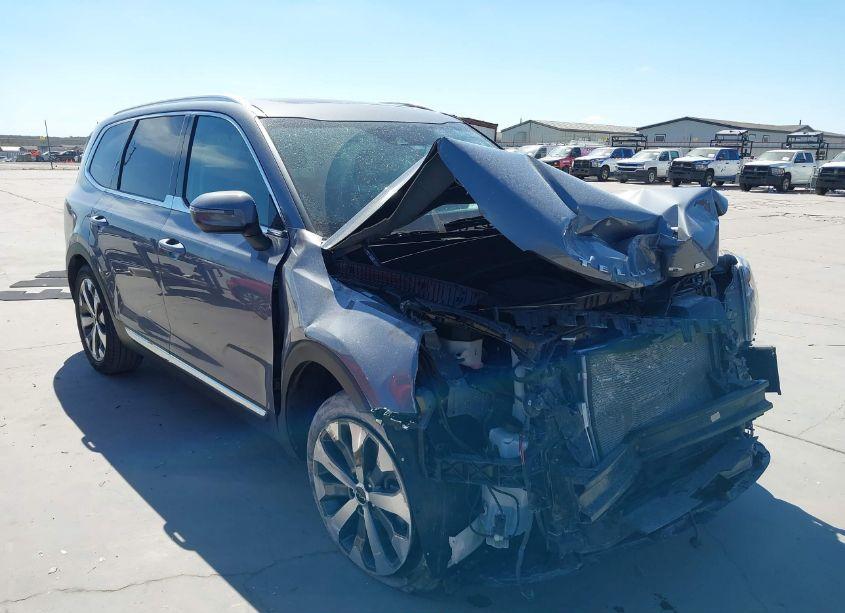 2022 Kia Telluride EX (VIN 5XYP34HC5NG256549) main photo