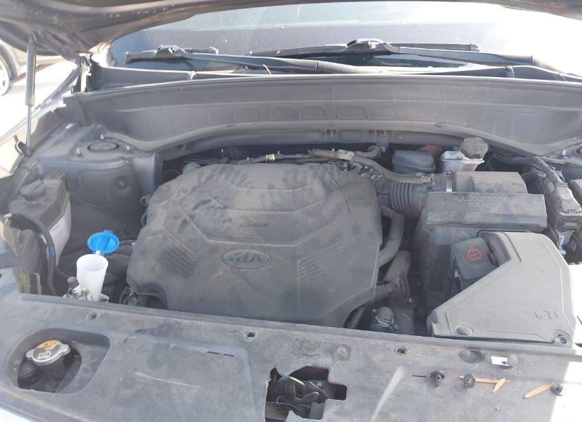 Photo 10 of 2020 Kia Telluride EX (VIN 5XYP34HC6LG009764)