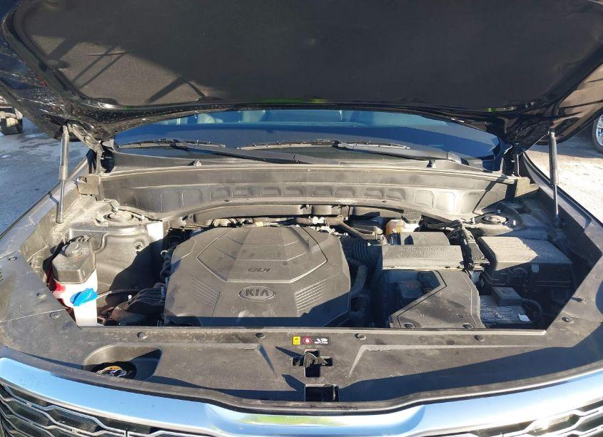 Photo 10 of 2021 Kia Telluride EX (VIN 5XYP34HC6MG132434)
