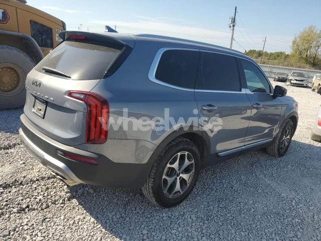Photo 12 of 2022 KIA TELLURIDE EX (VIN 5XYP34HC6NG269844)