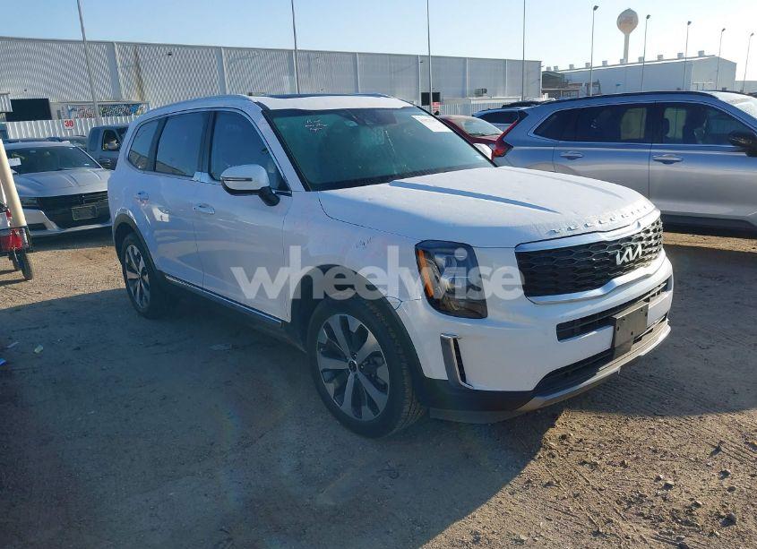 2022 Kia Telluride EX (VIN 5XYP34HC6NG290855) main photo