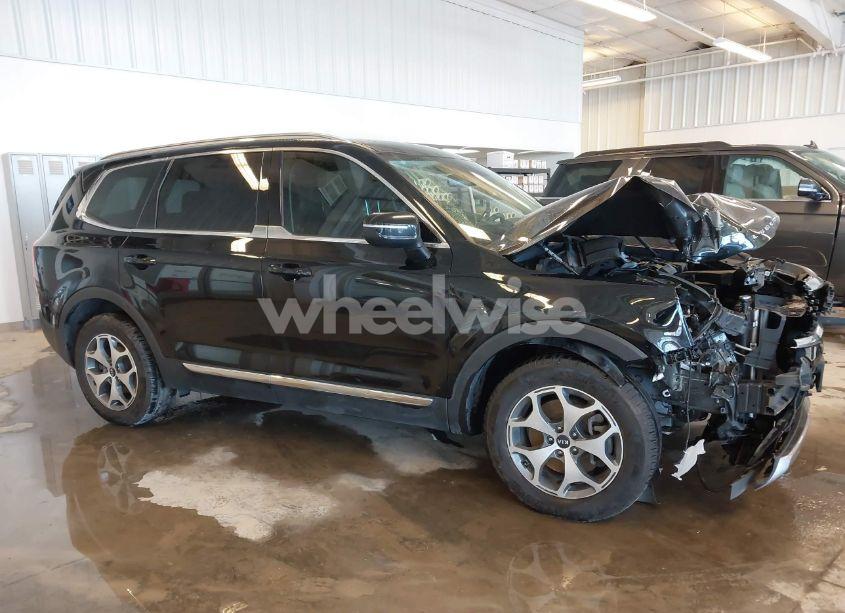 Photo 13 of 2020 Kia Telluride EX (VIN 5XYP34HC7LG038576)
