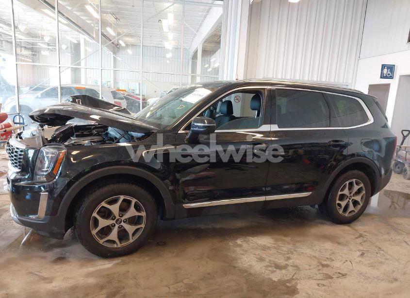 Photo 14 of 2020 Kia Telluride EX (VIN 5XYP34HC7LG038576)