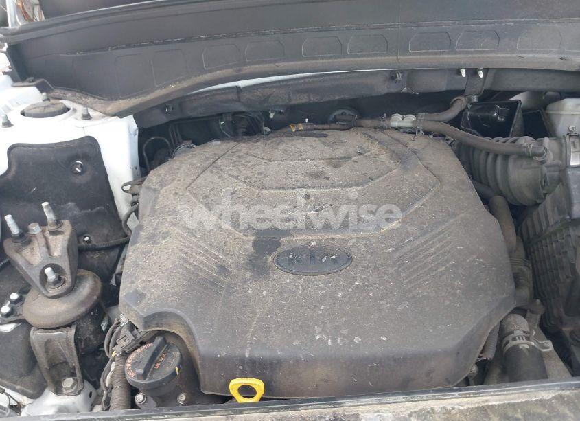 Photo 10 of 2020 Kia Telluride EX (VIN 5XYP34HC7LG074039)