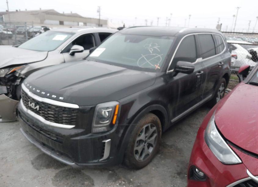 Photo 2 of 2022 Kia Telluride EX (VIN 5XYP34HC7NG319635)