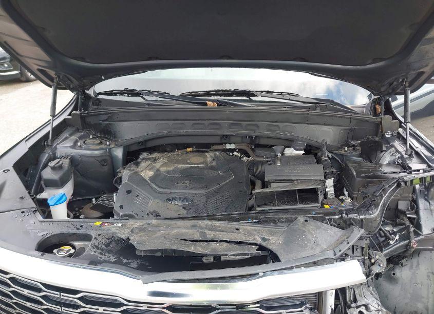 Photo 10 of 2021 Kia Telluride EX (VIN 5XYP34HC8MG148991)