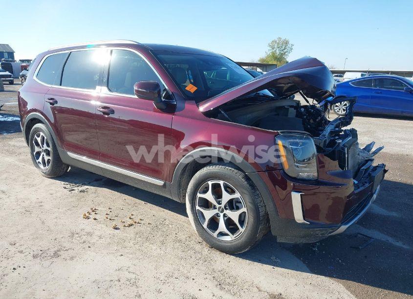 2022 Kia Telluride EX (VIN 5XYP34HC8NG265696) main photo