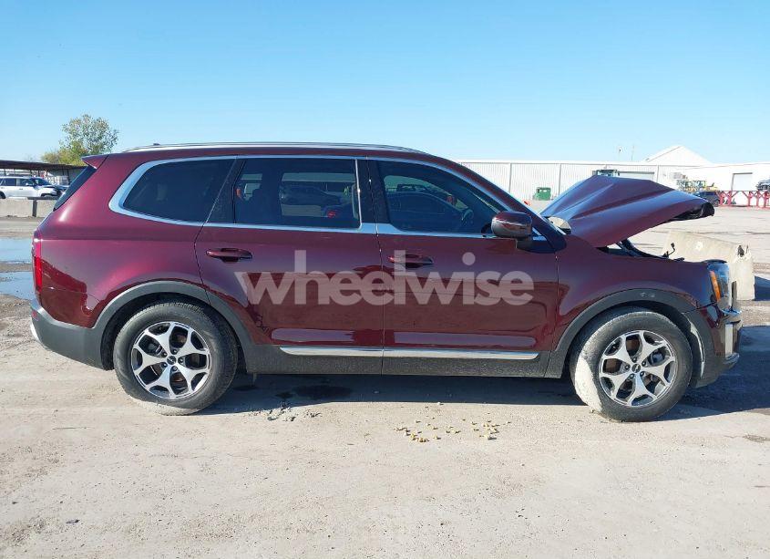 Photo 14 of 2022 Kia Telluride EX (VIN 5XYP34HC8NG265696)