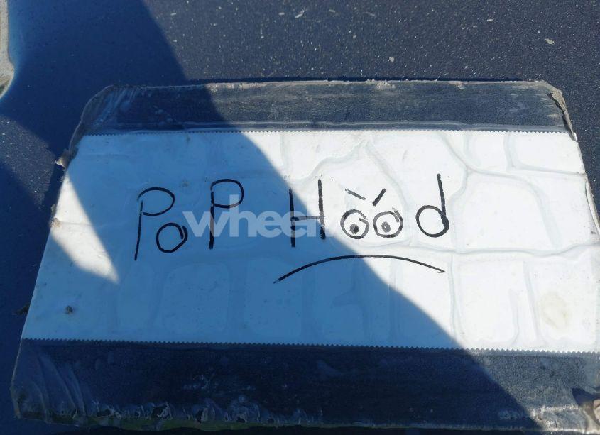 Photo 10 of 2021 Kia Telluride EX (VIN 5XYP34HC9MG156033)