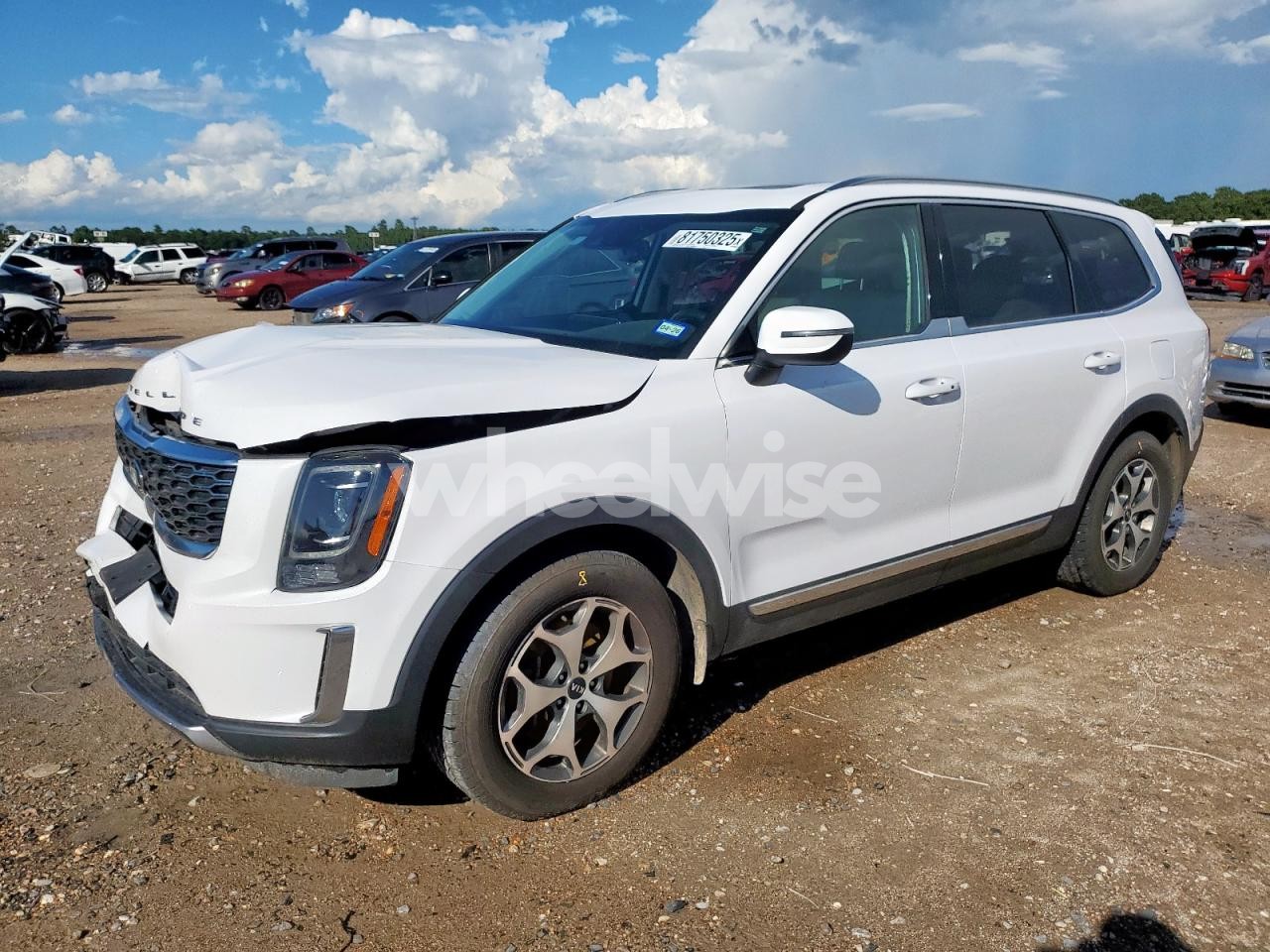 2021 KIA TELLURIDE EX (VIN 5XYP34HC9MG183622) main photo