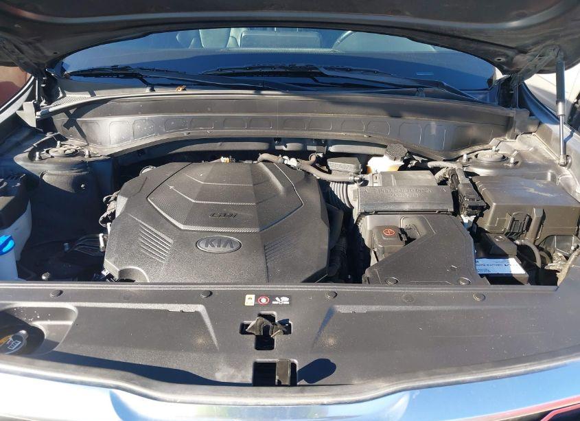 Photo 10 of 2020 Kia Telluride EX (VIN 5XYP34HCXLG090803)