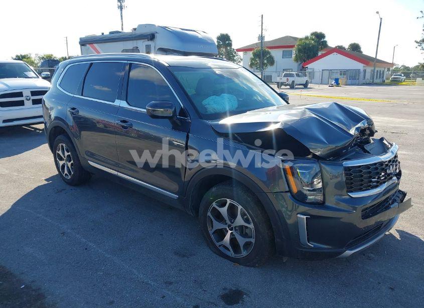 2022 Kia Telluride EX (VIN 5XYP34HCXNG240153) main photo