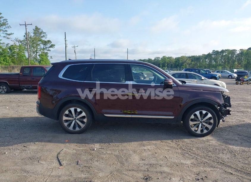 Photo 14 of 2022 Kia Telluride EX (VIN 5XYP34HCXNG263769)