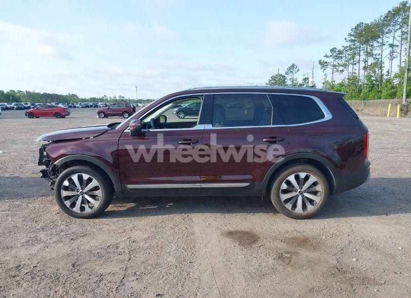 Photo 15 of 2022 Kia Telluride EX (VIN 5XYP34HCXNG263769)