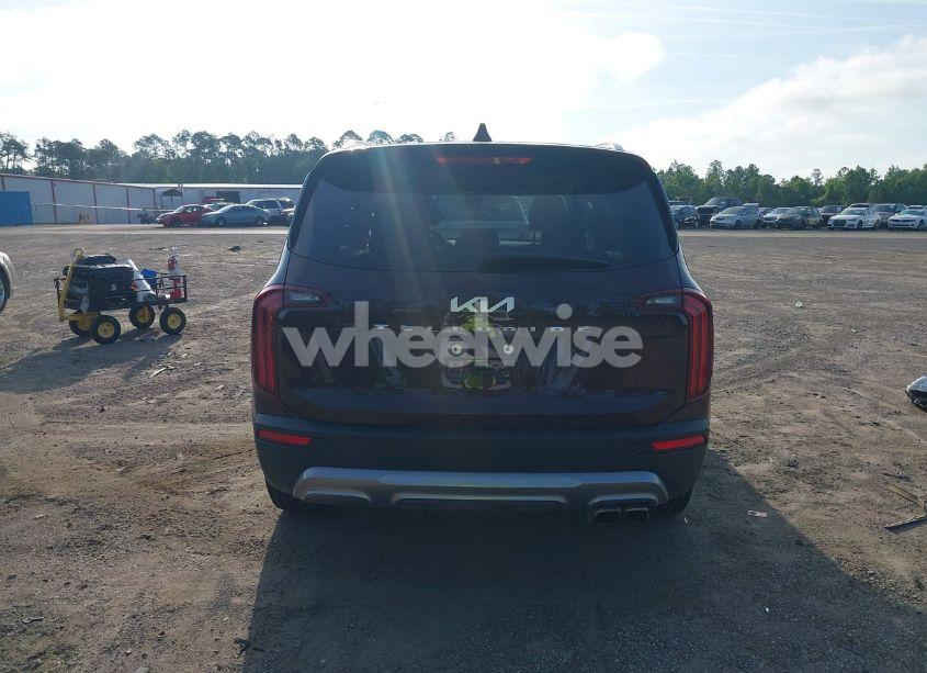 Photo 17 of 2022 Kia Telluride EX (VIN 5XYP34HCXNG263769)