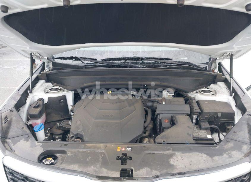 Photo 10 of 2022 Kia Telluride EX (VIN 5XYP34HCXNG275288)