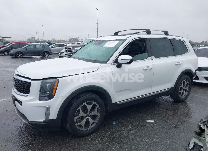 Photo 15 of 2022 Kia Telluride EX (VIN 5XYP34HCXNG275288)