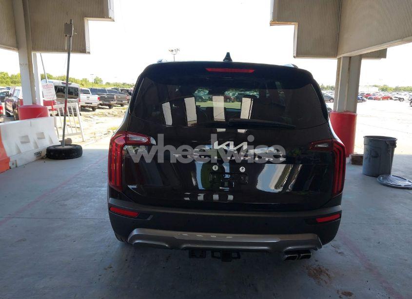 Photo 17 of 2022 Kia Telluride EX (VIN 5XYP34HCXNG314378)