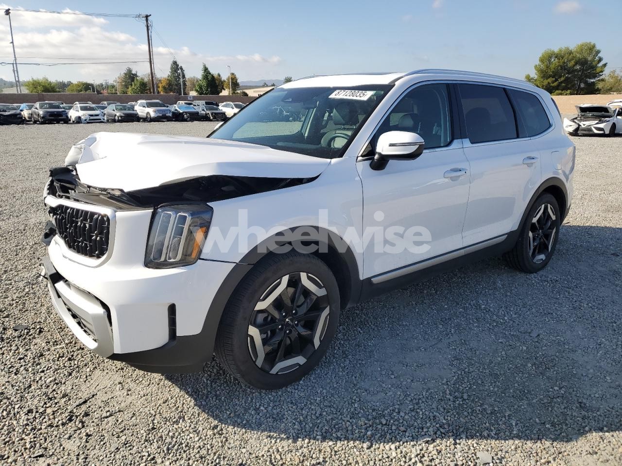 2024 KIA TELLURIDE EX (VIN 5XYP3DGC0RG556670) main photo