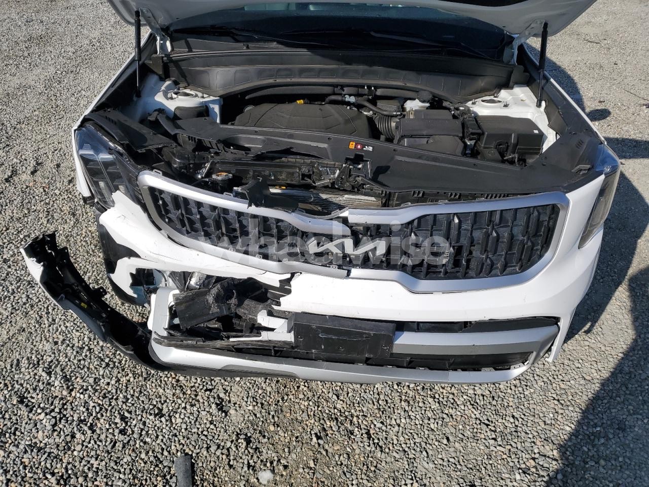 Photo 12 of 2024 KIA TELLURIDE EX (VIN 5XYP3DGC0RG556670)