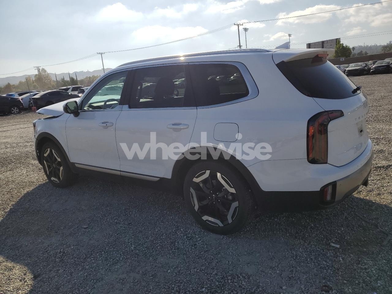 Photo 2 of 2024 KIA TELLURIDE EX (VIN 5XYP3DGC0RG556670)