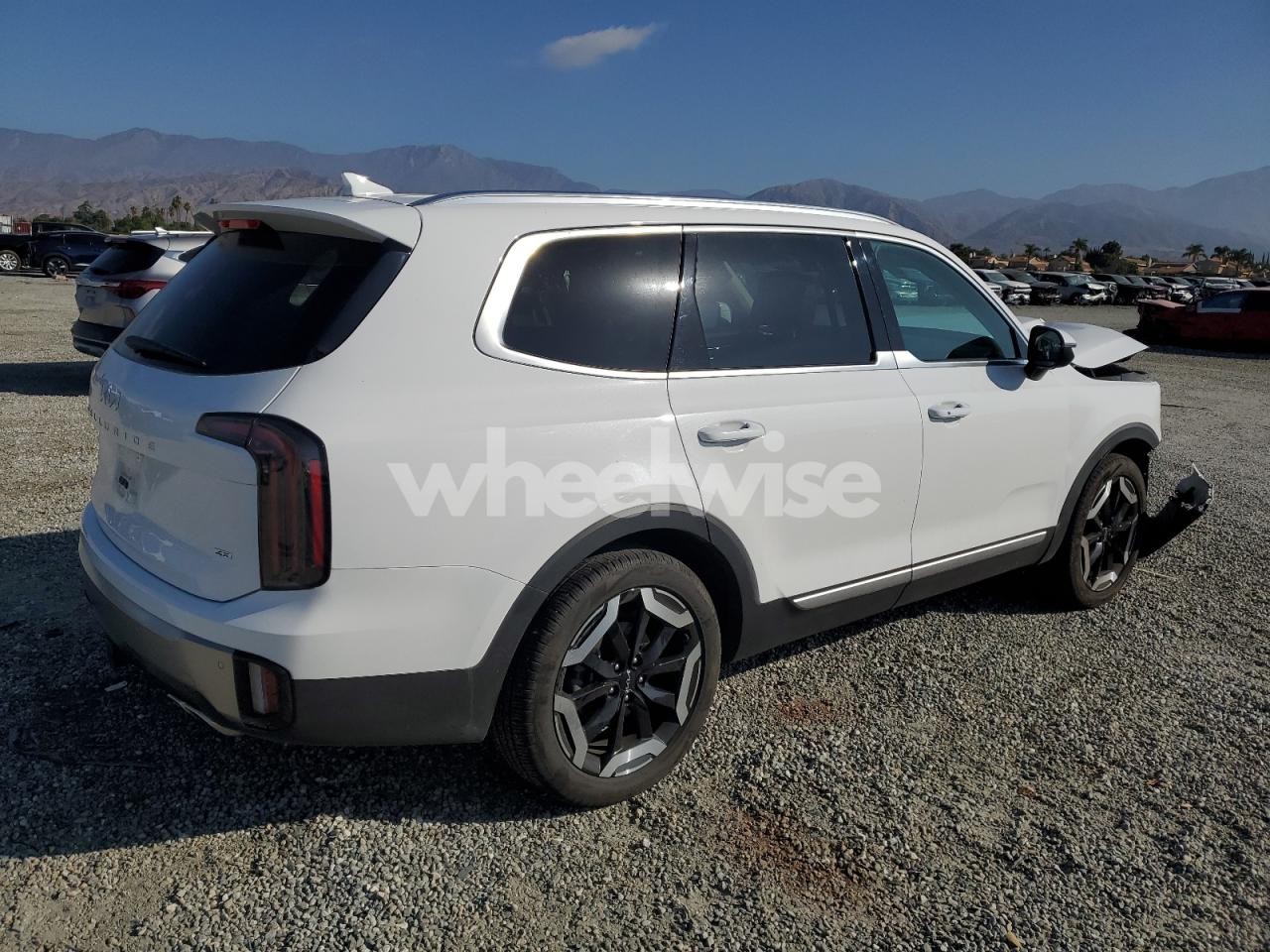Photo 3 of 2024 KIA TELLURIDE EX (VIN 5XYP3DGC0RG556670)