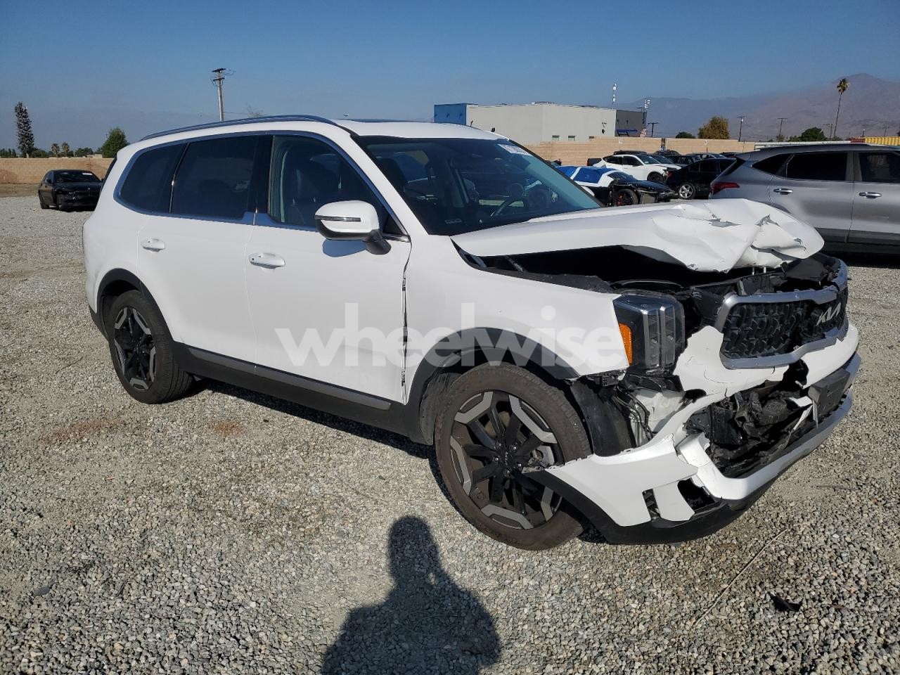 Photo 4 of 2024 KIA TELLURIDE EX (VIN 5XYP3DGC0RG556670)