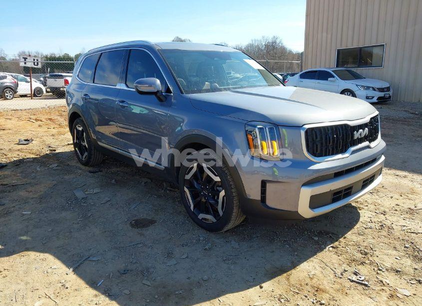 2024 Kia Telluride EX (VIN 5XYP3DGC1RG492199) main photo