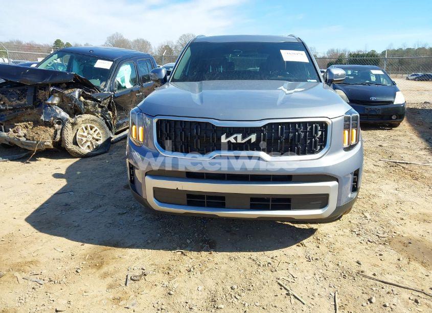 Photo 12 of 2024 Kia Telluride EX (VIN 5XYP3DGC1RG492199)