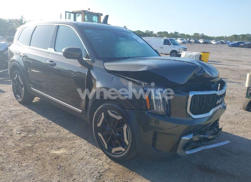 2023 Kia Telluride EX (VIN 5XYP3DGC2PG354460) main photo