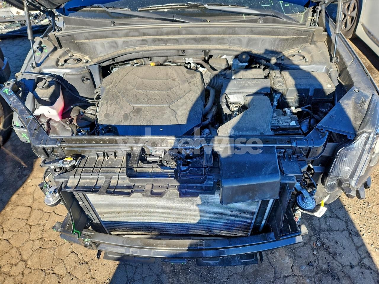 Photo 12 of 2024 KIA TELLURIDE EX (VIN 5XYP3DGC2RG437535)