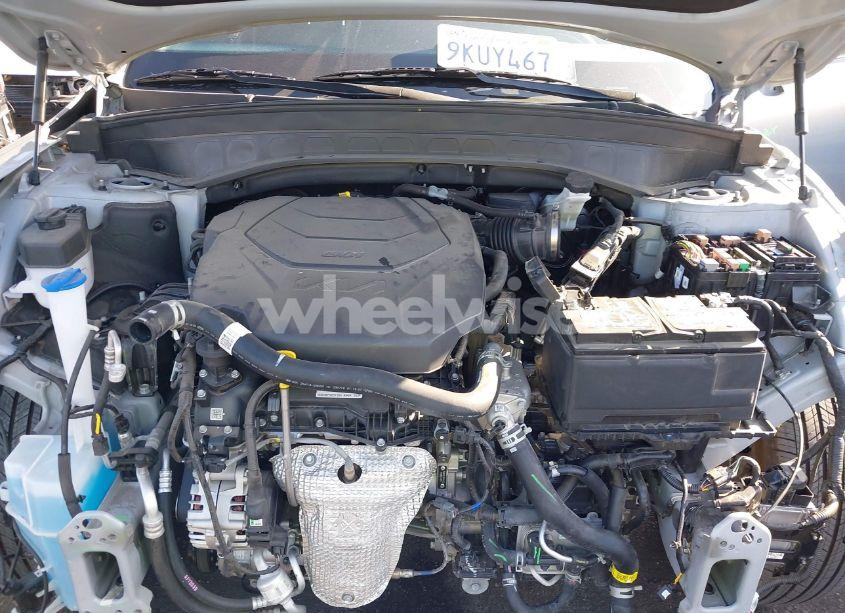 Photo 10 of 2024 Kia Telluride EX X-LINE (VIN 5XYP3DGC2RG451693)