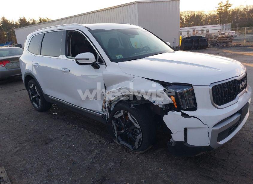 2024 Kia Telluride EX (VIN 5XYP3DGC2RG467926) main photo