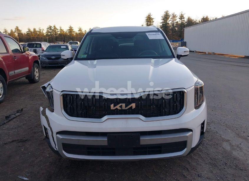 Photo 12 of 2024 Kia Telluride EX (VIN 5XYP3DGC2RG467926)
