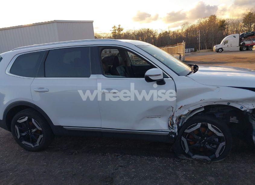 Photo 13 of 2024 Kia Telluride EX (VIN 5XYP3DGC2RG467926)