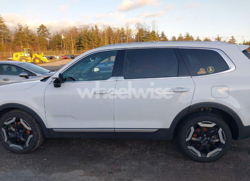 Photo 14 of 2024 Kia Telluride EX (VIN 5XYP3DGC2RG467926)